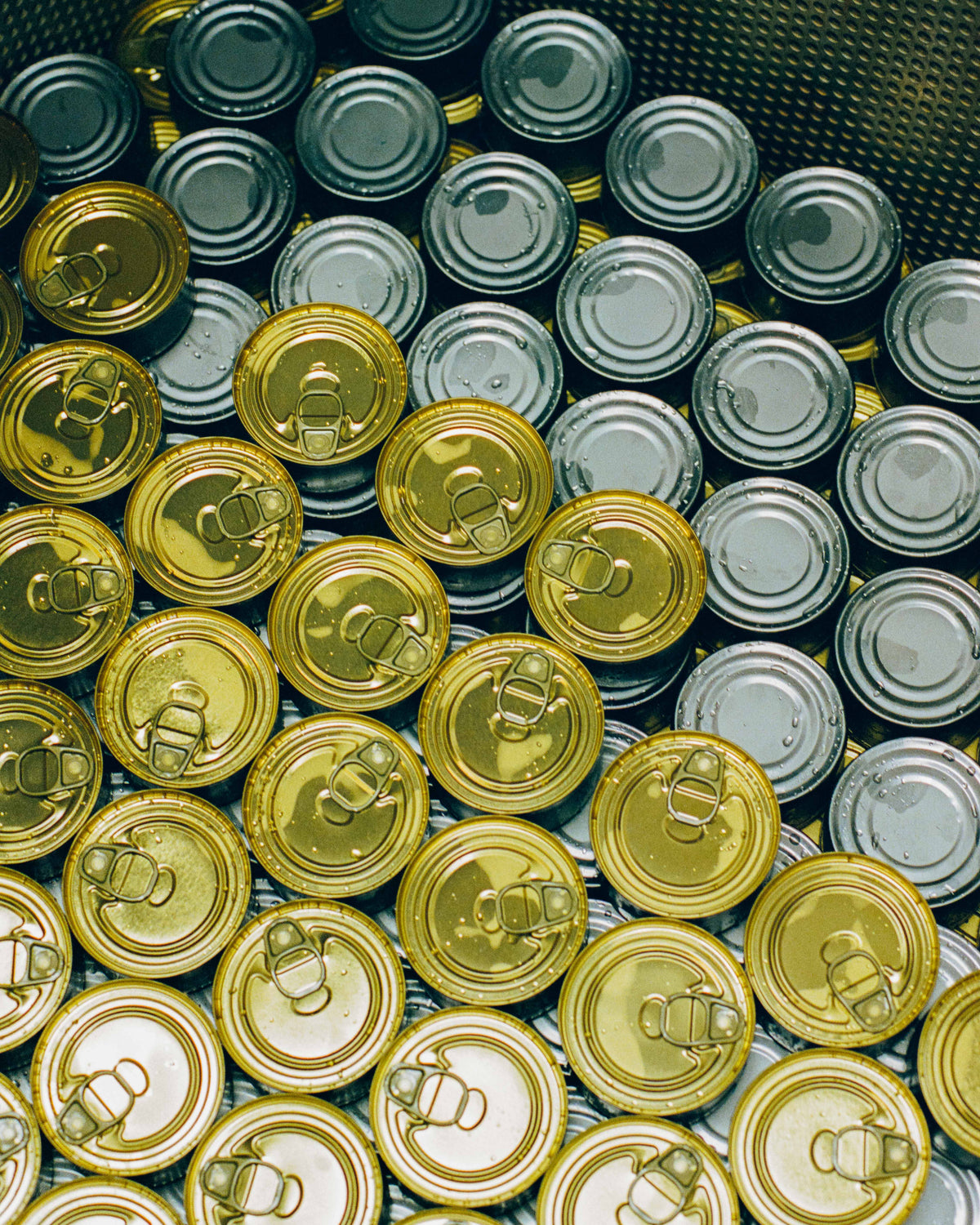 Wholesale - Our tinned fish for stores and restaurants