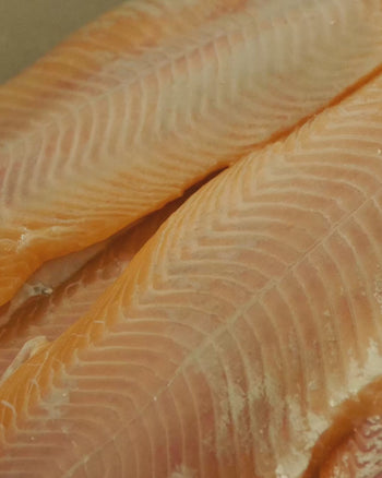 California Rainbow Trout with Dill & Sumac (B2)